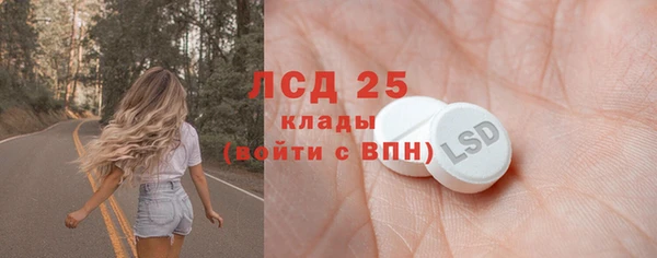 индика Белоозёрский