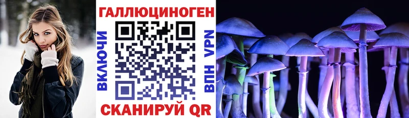 Псилоцибиновые грибы Cubensis  Горнозаводск 